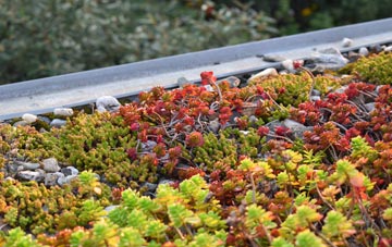 the cost of Barns Green green roof installation