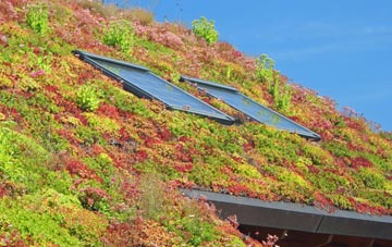 Barns Green living roof systems