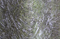 Barns Green fibreglass roof work